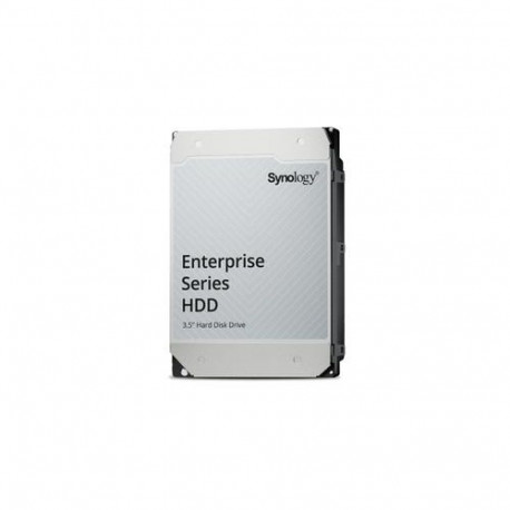 Synology Enterprise internal hard drive 20 TB 7200 RPM 512 MB 3.5" Serial ATA III