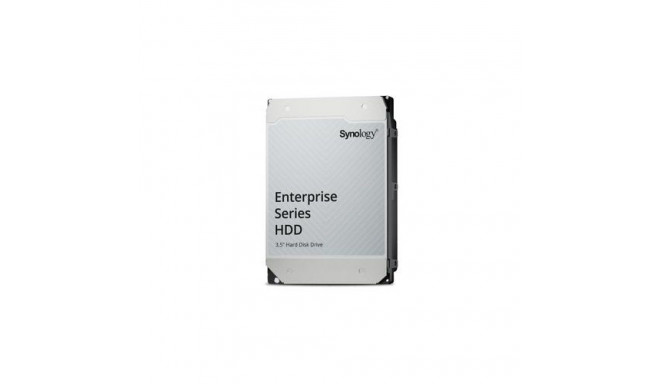 Synology Enterprise internal hard drive 20 TB 7200 RPM 512 MB 3.5&quot; Serial ATA III
