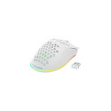 Deltaco GAM-120-W mouse Gaming Right-hand RF Wireless + USB Type-C Laser 6400 DPI