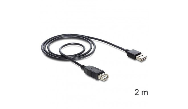 DeLOCK EASY-USB 2.0-A - USB 2.0-A, 2m USB cable USB A Black