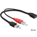 DeLOCK 83176 USB cable USB 3.2 Gen 1 (3.1 Gen 1) 0.3 m USB A 2 x USB A