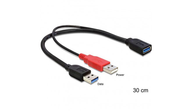 DeLOCK 83176 USB cable USB 3.2 Gen 1 (3.1 Gen 1) 0.3 m USB A 2 x USB A