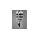 Shure 55SH Grey Studio microphone
