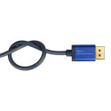 Alcasa 4860-SF020B video cable adapter 2 m DisplayPort HDMI Black, Blue