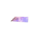 Sharkoon SKILLER SGP40 D1 Gaming mouse pad Multicolour