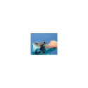 PFERD 11213257 file/rasp