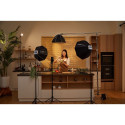 Godox ML100 Bi-color Kit 2