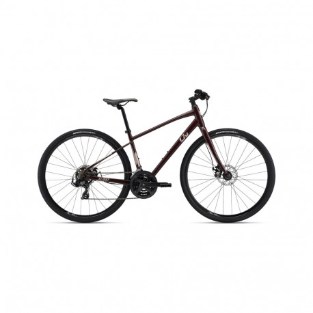 LIV Alight 3 DD Disc (2022) 28" 18,1" M, Figuier