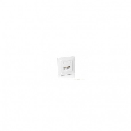 "Equip Unterputzdose +Frontplatte 2xRJ45 Cat5e 45° RAL 1013"
