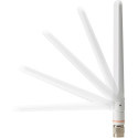 "Cisco Aironet Dual-Band Antenne"
