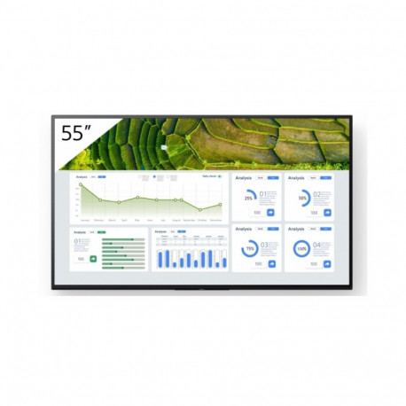"FW-55BZ30L 55INCH PRO"