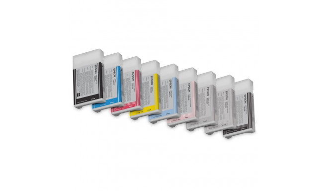 "Epson C13T603700 light black HC"