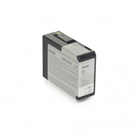 "Epson C13T580700 light black"