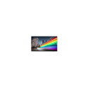 "PHILIPS B-Line 50BFL2214 18/7/UHD/350cd DVB-C/T2 (Speditionsversand)"