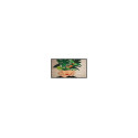"PHILIPS D-Line 43BDL4511D 24/7/UHD/450cd"