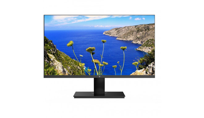 "23.8IN IPS MONITOR DISPLAYPORT"