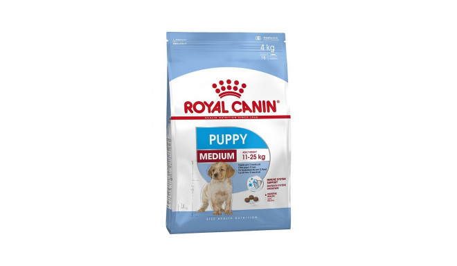 kuiv koeratoit ROYAL CANIN MEDIUM PUPPY, 4 kg