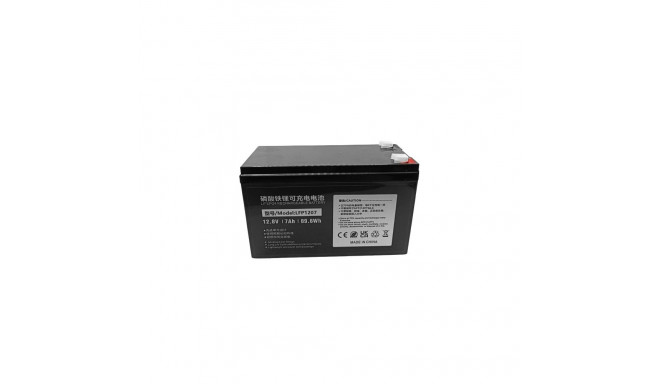 Battery Lithium Iron Phosphate LiFePO4 12.8V, 7Ah, T2