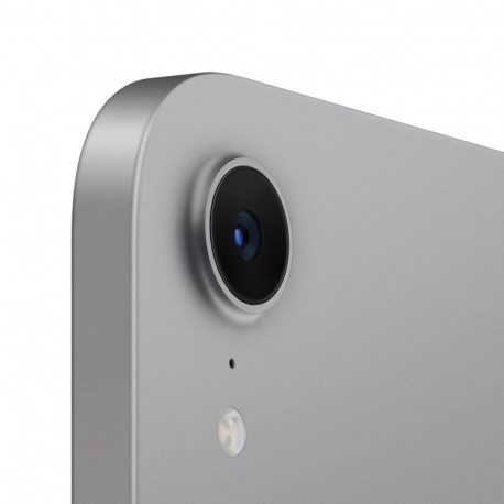 Apple iPad mini Wi-Fi 256GB - kosmosehall