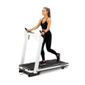 HMS LOOP14 electric treadmill 1-14 km/h