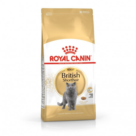Cat Food - Royal Canin British Shorthair Adult 4kg