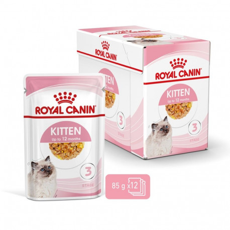 Wet Kitten Food - Royal Canin Kitten Instinctive