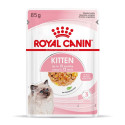 Wet Kitten Food - Royal Canin Kitten Instinctive