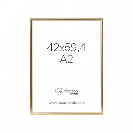 Focus Can-Can Shiny Gold 42x59,4 (A2)