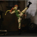 Tegevuskujud Street Fighter