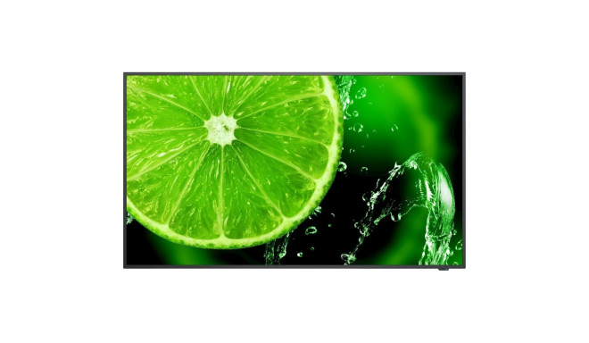 NEC MultiSync E558 Monitor (60005054)