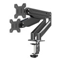Esperanza Desk mount for 2 monitors 17" - 27" Mache (ERW020)