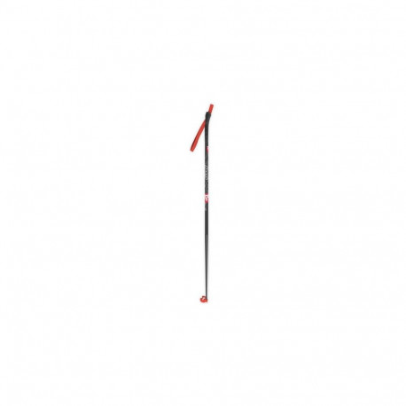 Ski poles Apollo