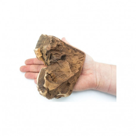 4DOGS Briar Root for Dogs - Chew L