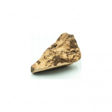 4DOGS Briar Root for Dogs - Chew M