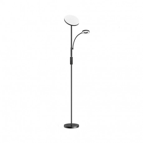 Double Floor Lamp with remote BlitzWill BWL-FL-0001, 36W (black)
