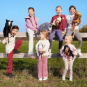 Koń na kiju hobby horse hoppihorse a4 bay - ciemny brąz, maść gniada