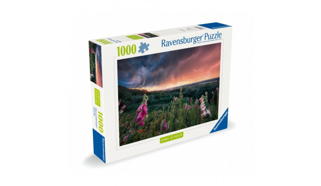 Puzzle 1000 tükki torm läheneb
