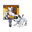 Robopies r/c toys for boys