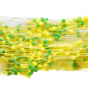 Slime trzaskająca piana display 16 sztuk