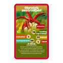 top trumps seenemäng kaardimäng