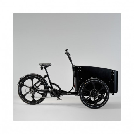 Elektriline kastiratas CARGOBIKE Delight