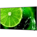 "NEC MultiSync E658 65' Display UHD"