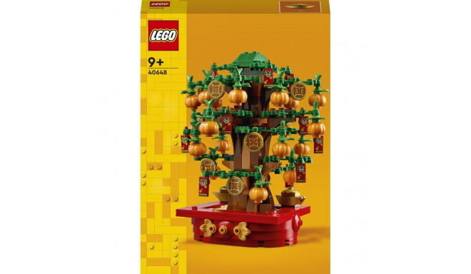 LEGO Iconic 40648 – rahapuu