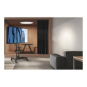 NEOMOUNTS monitor/TV mobiilne põrandastatiiv 32–75-tolline 45kg VESA600x400 kõrguse reguleerimine 10