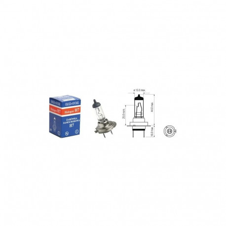 Autopirn 24V 70W H7 PX26D