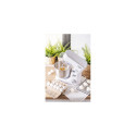 AD 4216 Planetaarne robot 1000W