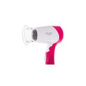 AD 2259 Föön 1200W