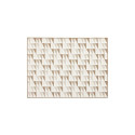 VAIP 1.6X2.2 M