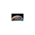 TV Set|DAHUA|50"|4K/Smart|QLED|3840x2160|Wireless LAN|Bluetooth|Android TV|DHI-LTV50-QSD400