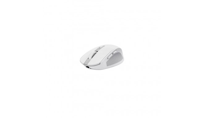Computer mouse Trust Ozaa White